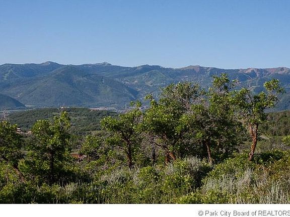 4th image of 9601 Eagle Crest Ln