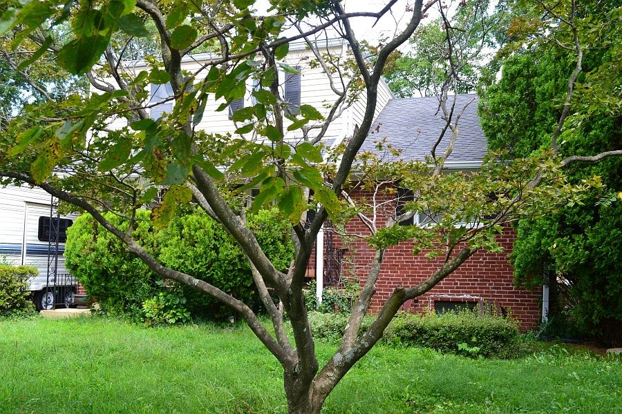2nd image of 1414 Ruatan St