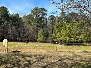 82 Blue Ridge School Rd, Forsyth, GA 31029