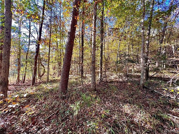 3rd image of 0 N River Cir