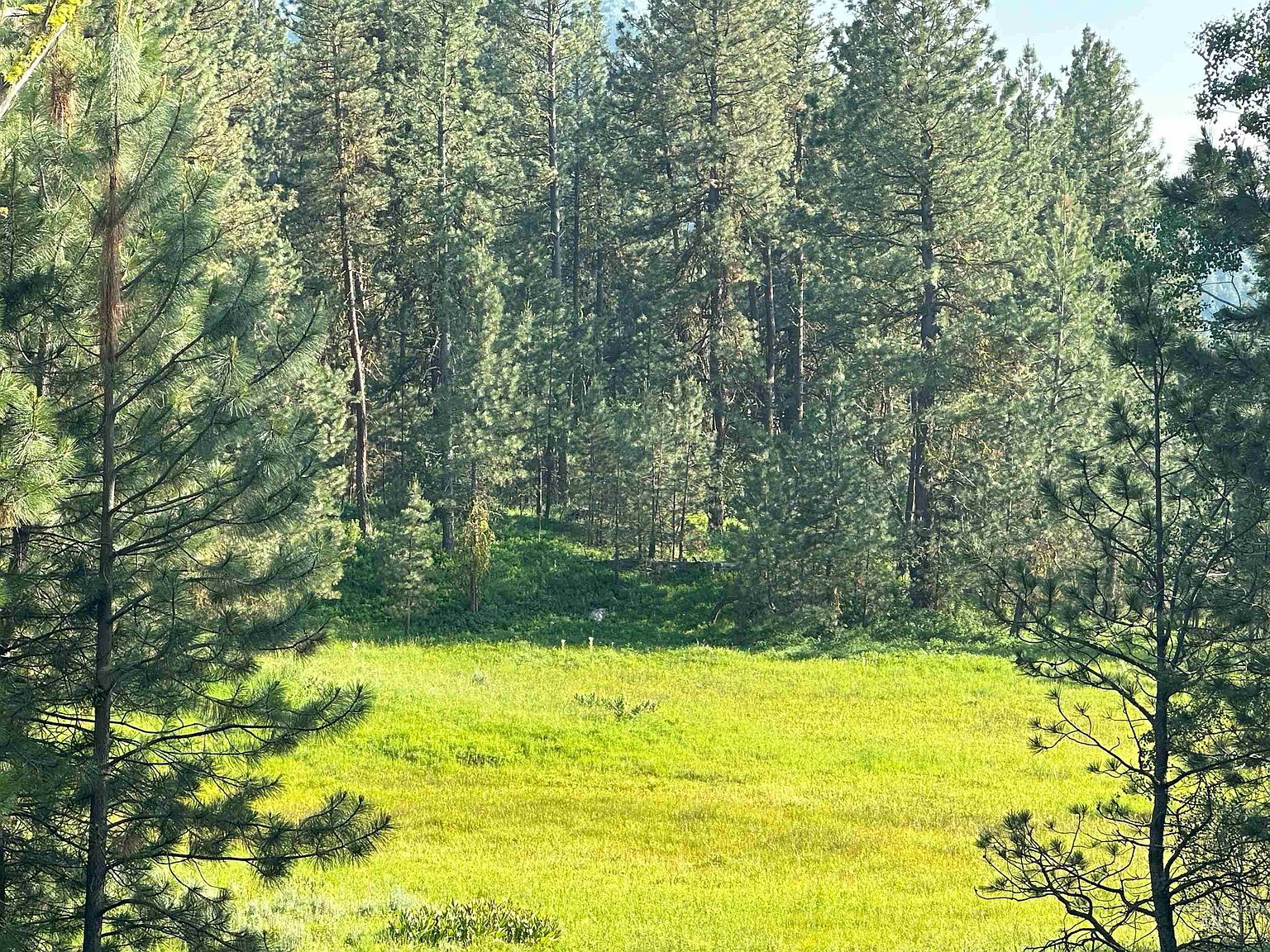 Dry Buck Rd, Cascade, ID 83611 Zillow
