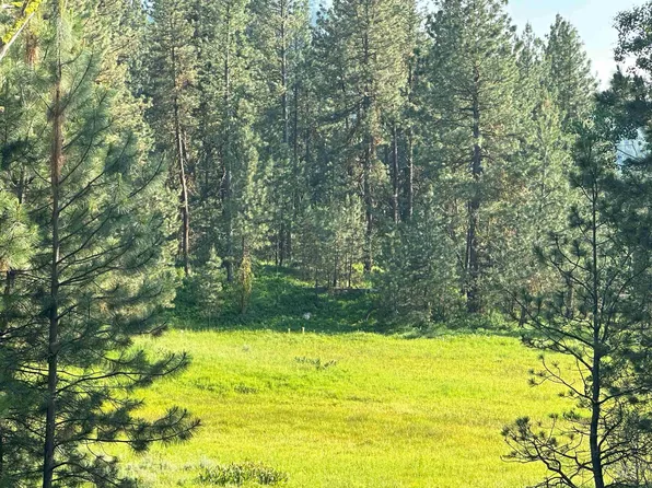 Dry Buck Rd, Cascade, ID 83611