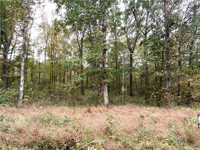 0 Red Bone Ridge Rd SE, Ranger, GA, 30734