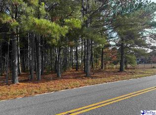 Maudes Rd, Marion, SC 29571