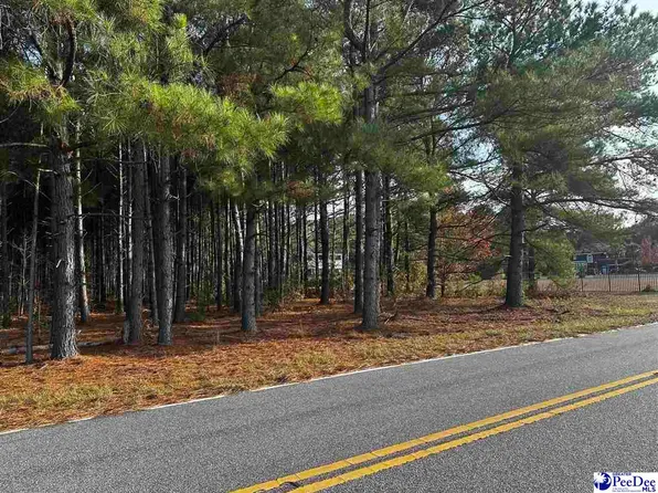 Maudes Rd, Marion, SC 29571