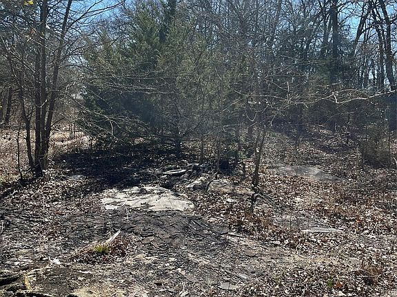 4th image of 0 County Road 3605