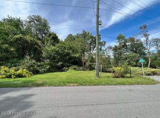 Courtright St, Kingston, PA 18704