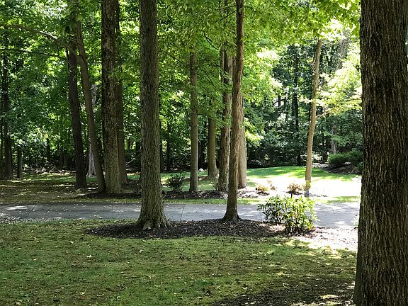 4th image of 2174 Thoroughbred Dr