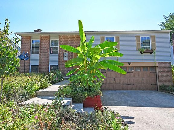 2nd image of 5985 Bagdad Dr