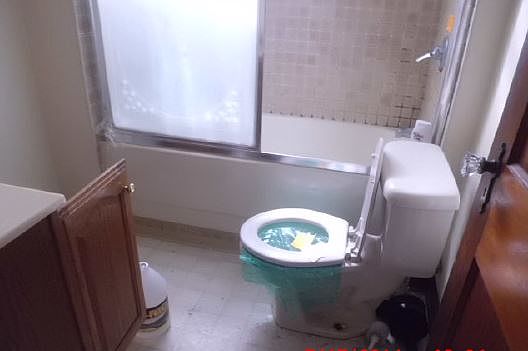 5th image of 586 Winspear Ave
