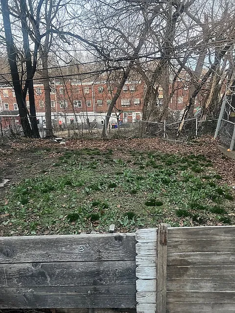 1329 Kerlin St — Photo 3