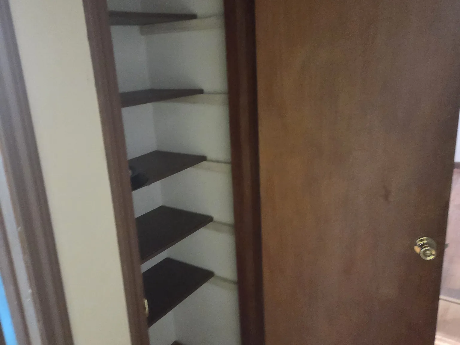 3 bed, 1310 sqft, $1,800 — Photo 4