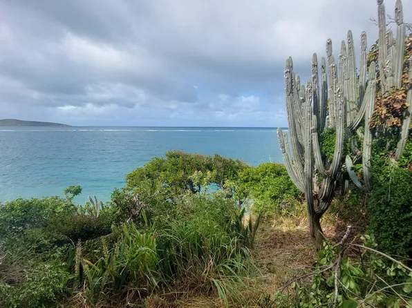 6 and 7 North Grapetree EB, St. Croix, VI 00820