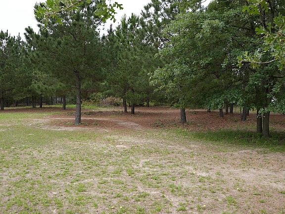 5th image of N Buckhorn Dr