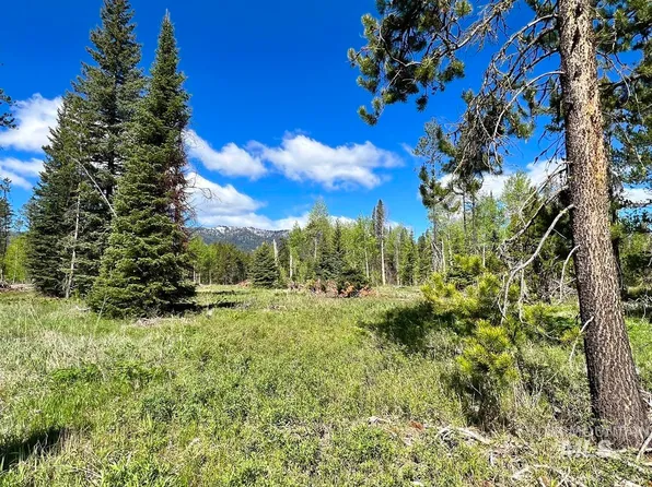 175 Meadow Pl, Donnelly, ID 83615