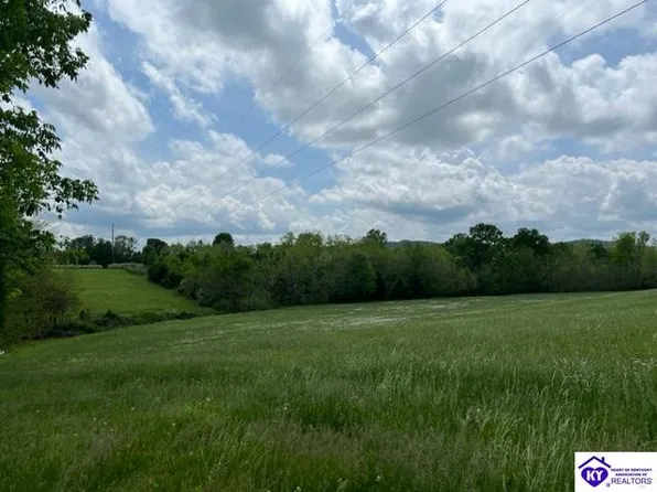 133 Alex Dr, Falls Of Rough, KY 40119