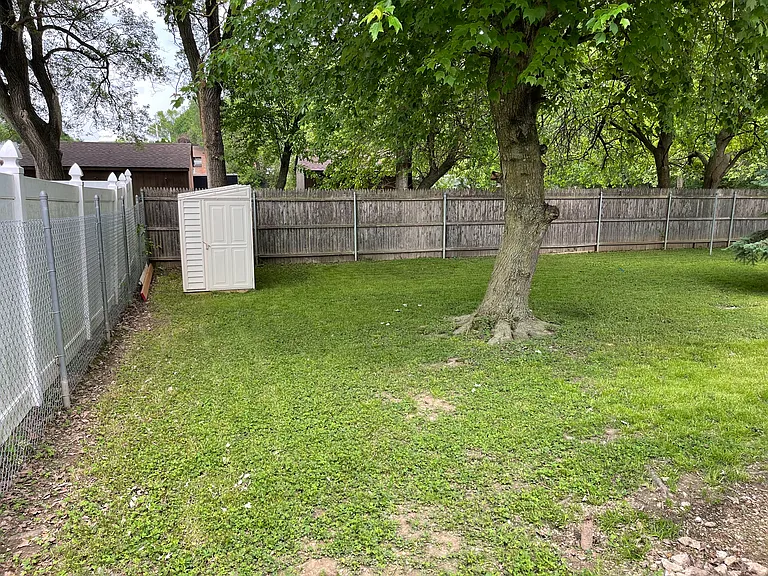Rear Yard