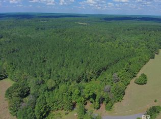 22200 Gap Weekley Rd #1, Perdido, AL 36562