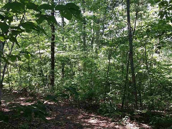 3rd image of 12800 Lloyd Rick Rd