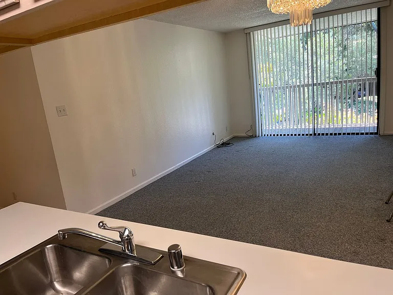 4355 Shelter Creek Ln — Photo 4