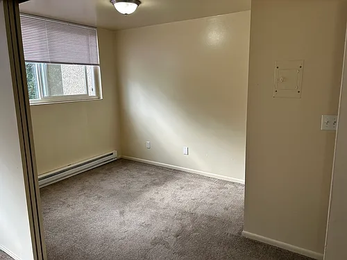 5033 15th Ave NE #3002 Photo 1