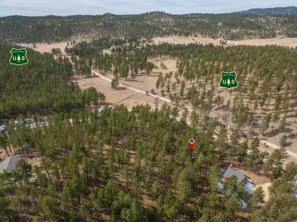 LOT 5 Caledonia Trl, Custer, SD 57730