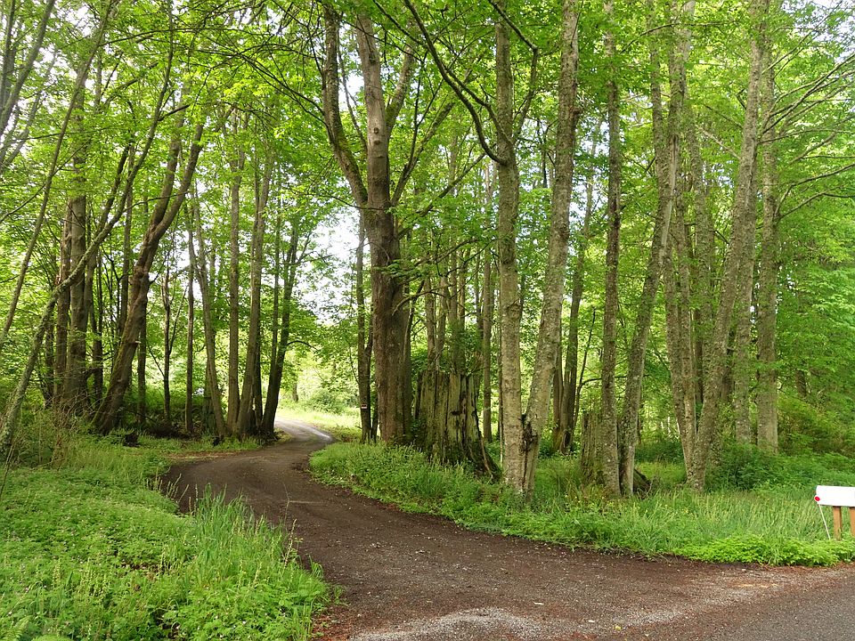 The entrance to 721 Carp Lk 