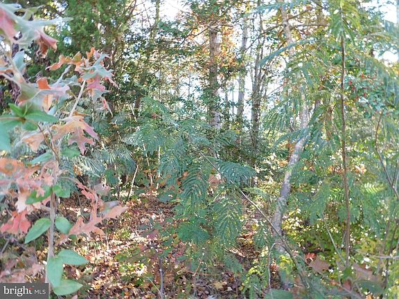 4th image of Tn 10c 8 1 23 Forest Grove Rd