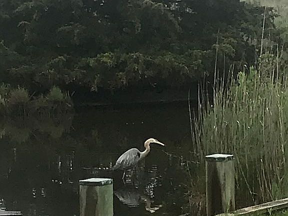 3rd image of 34873 Alda Ln