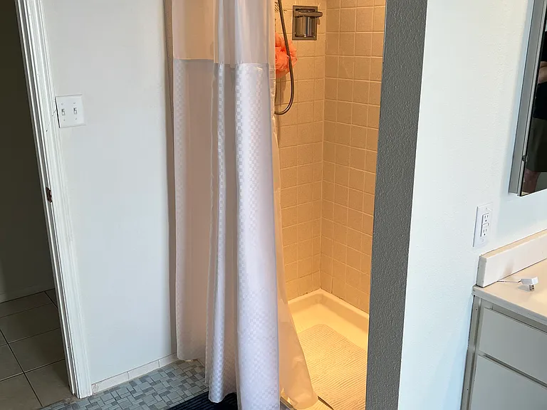 Ensuite shower