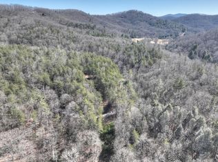 Big Creek Rd, Blue Ridge, GA 30513