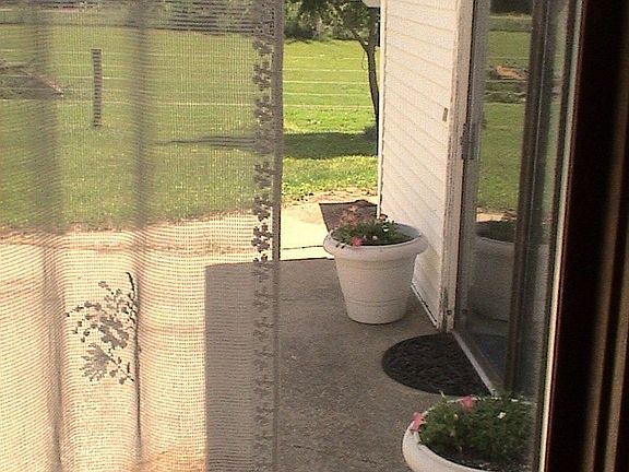 South patio overlooking South pasture