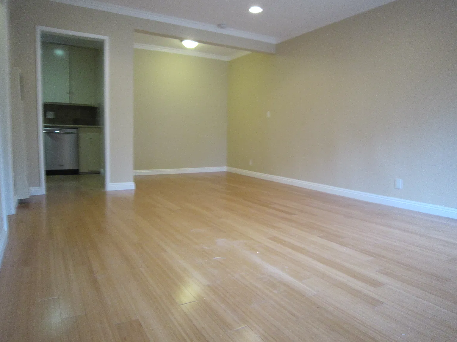 Studio, 437 sqft, $1,750 — Photo 4