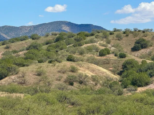 Temporal Canyon Rd, Patagonia, AZ 85624