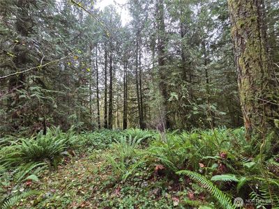 245 Cousins Road, Chehalis, WA, 98532