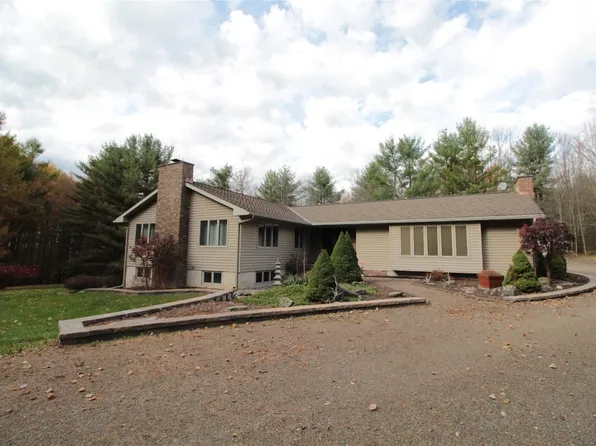 192 Monkey Run Rd, Pt Crane, NY 13833
