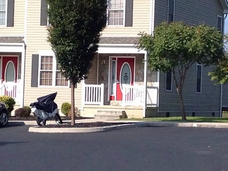 84 Pinnacle Ln — Photo 1
