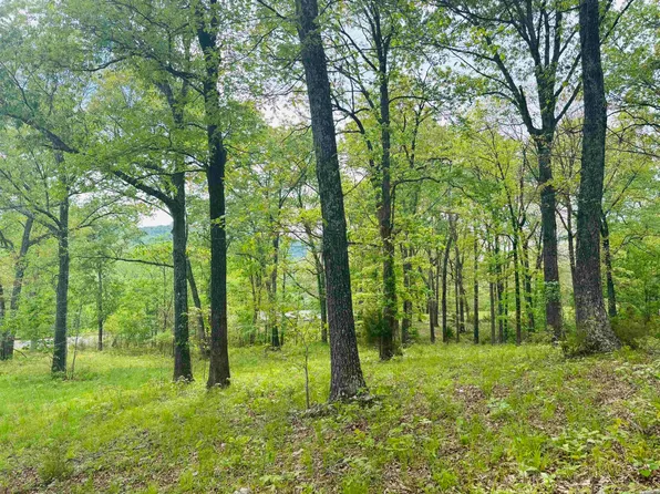 31 & 32 Cougar Dr, Mountain Home, AR 72653