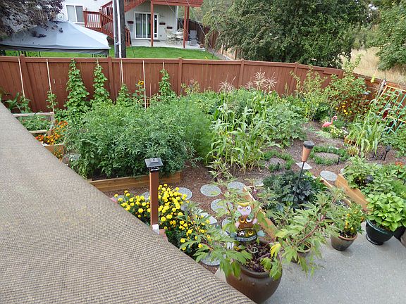 Back yard garden area with d
