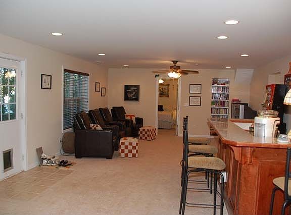 Finished Basement / Media Room