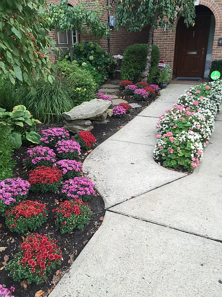 Thumbnail 20