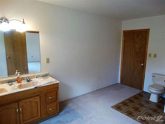 Cass Ave Master bath