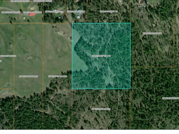 TRACT 5 Thimbleberry Ln, Plummer, ID 83851