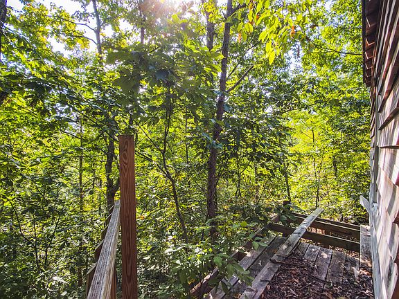 45th image of Georges Run Rd