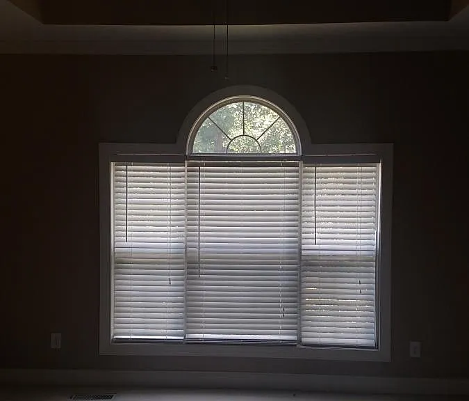 1st floor Master BR with cathedral ceiling and 2 walk-in clo