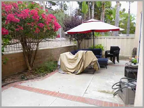 4716 Caminito Girasol — Photo 20