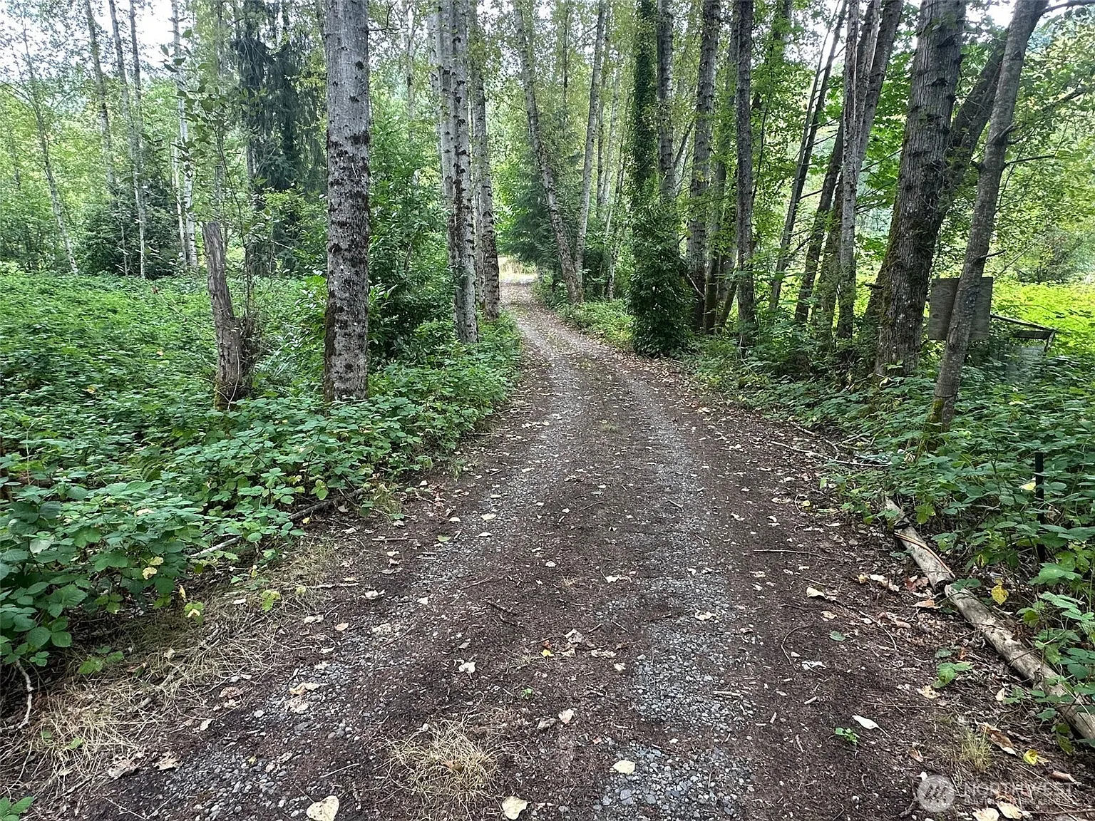 17037 Tiger Mountain Road SE photo 1
