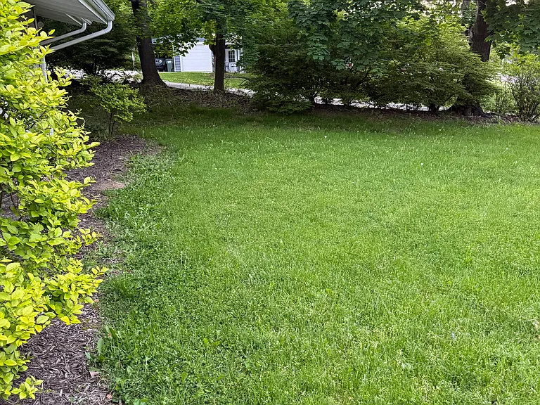 1201 Woodrow St NW — Photo 15