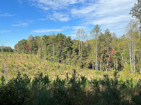 4th image of 1671 Carys Creek Rd