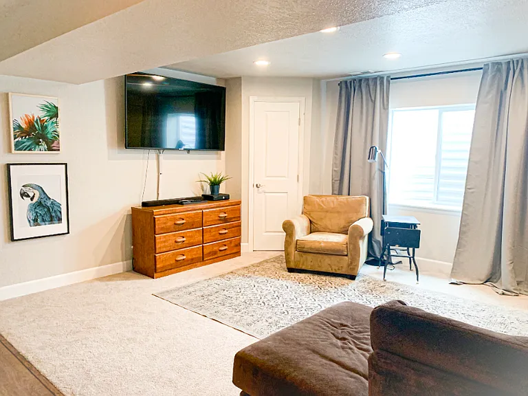 Basement living room